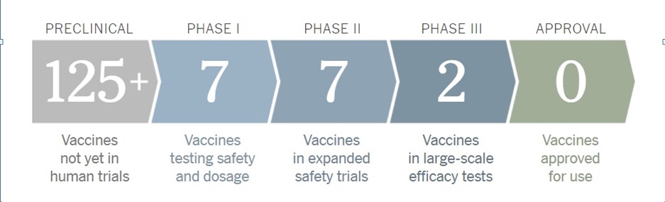 coronavirus vaccine 136 status