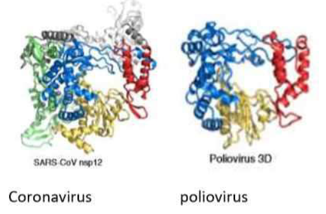 WeChat Image 20201120142240