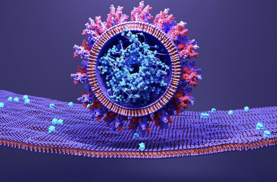 pfizer oral anti SARS COV 2 2