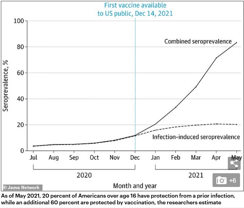 9 3 83 percent american have antibody