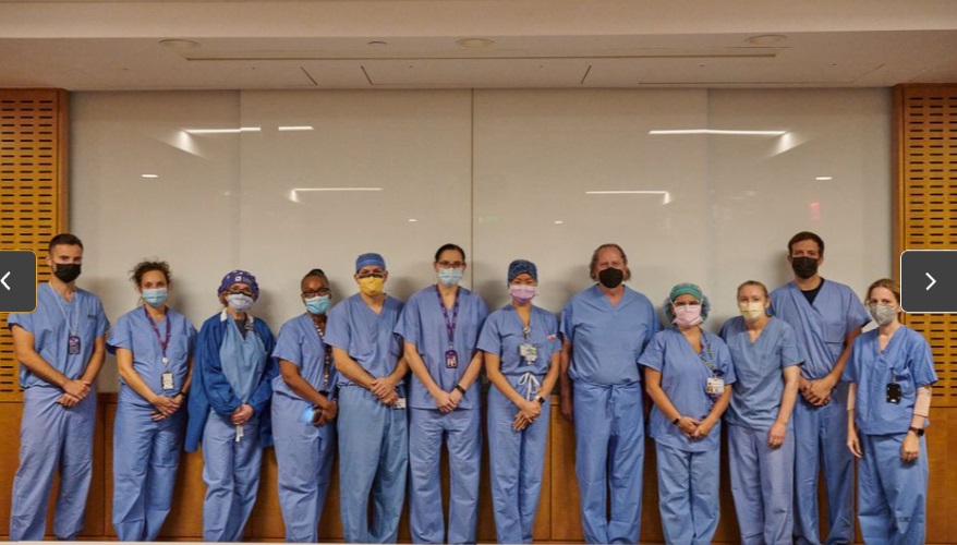 10 20 pig kidney transplant 4