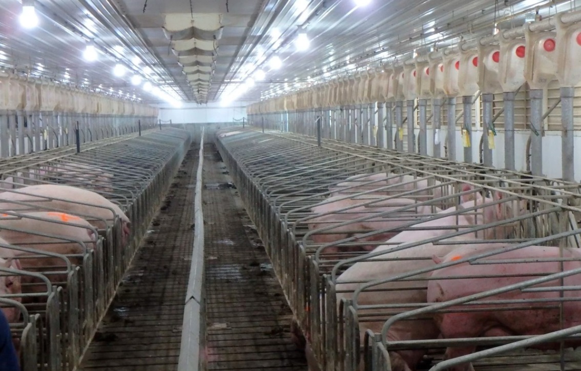 12 12 propersition 12 3