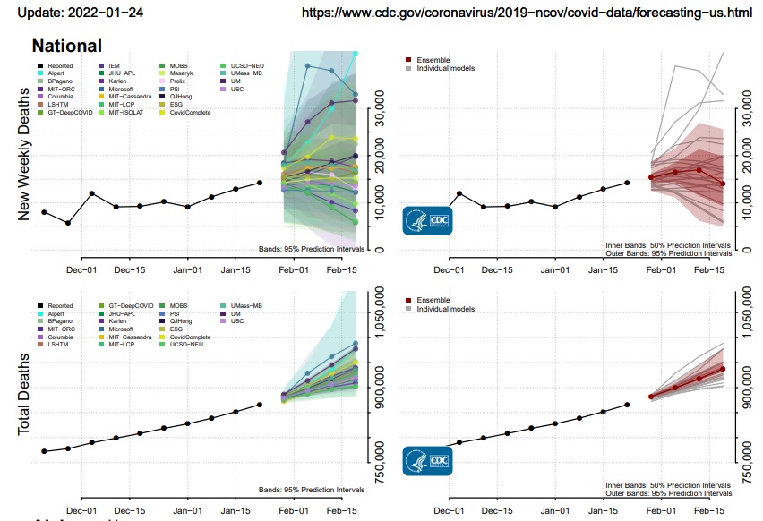 01 26 CDC death forecast 25 ensemble