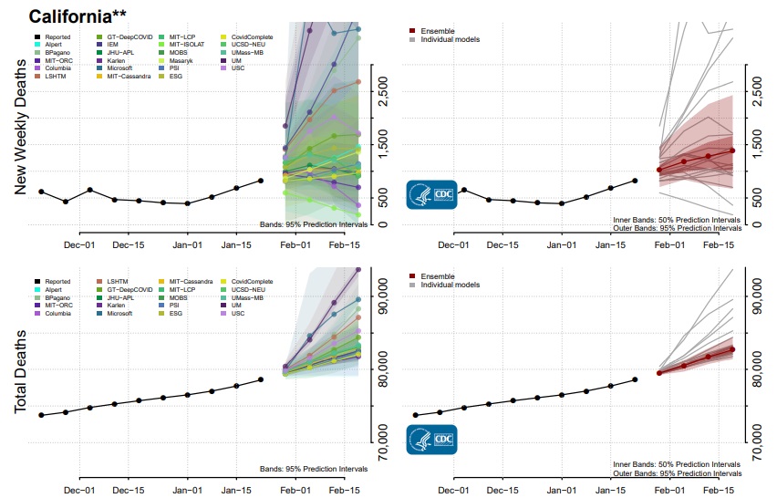 01 26 CDC death forecast 25 ensemble CA