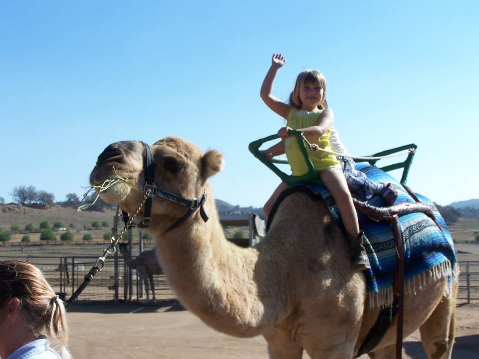 camel ride