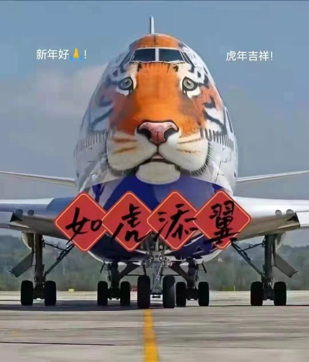 02 06 如虎添翼照片