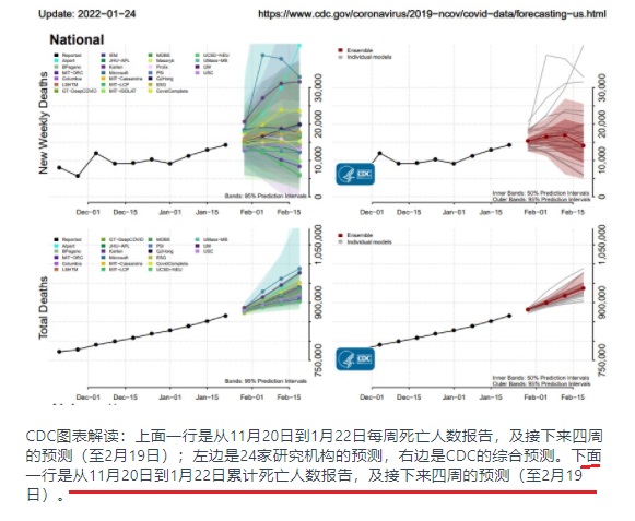 02 20 CDC 4 weeks death forecast