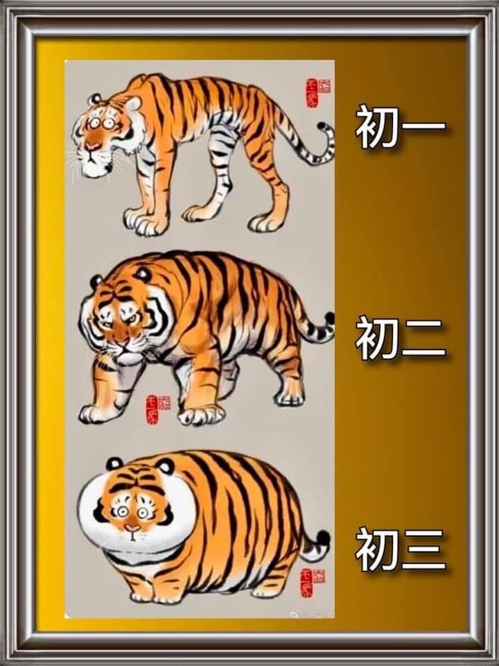 初一初二初三照片