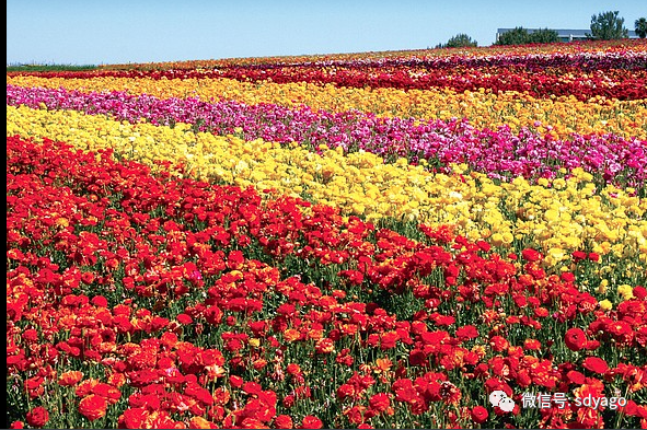 微信图片 20220304120312