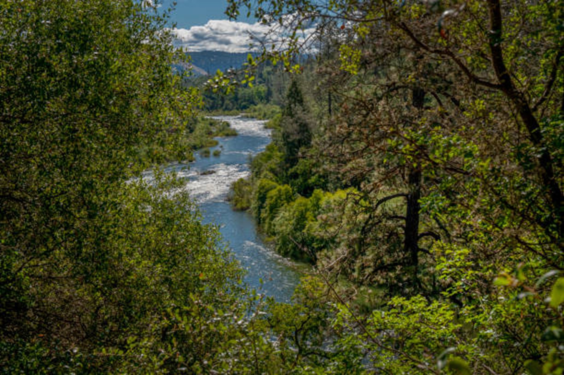 03 29 El dorado county iStockPhoto