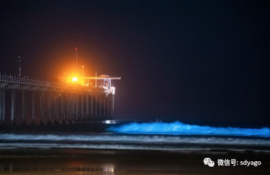 微信图片 20220304120435