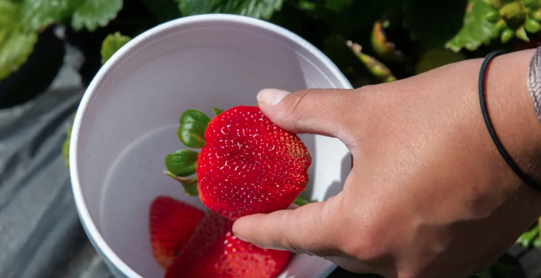 微信图片 20220325134338