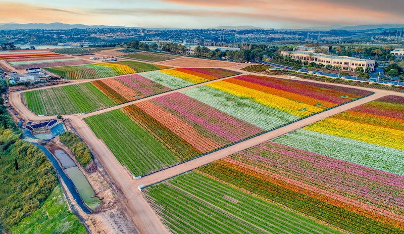 Photo credit FlyByPhotograph