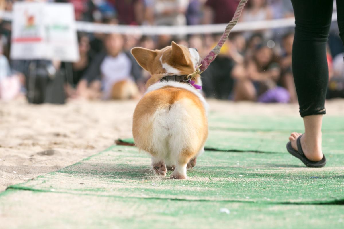 2016 10 29 CBD 081 4a6e7f43 ac57 4f47 b739 c87c6ab14fe5