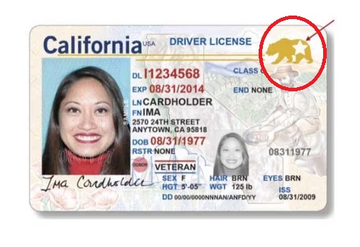 12 07 real id illustrate