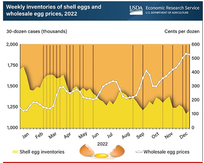 2023 01 20 egg price
