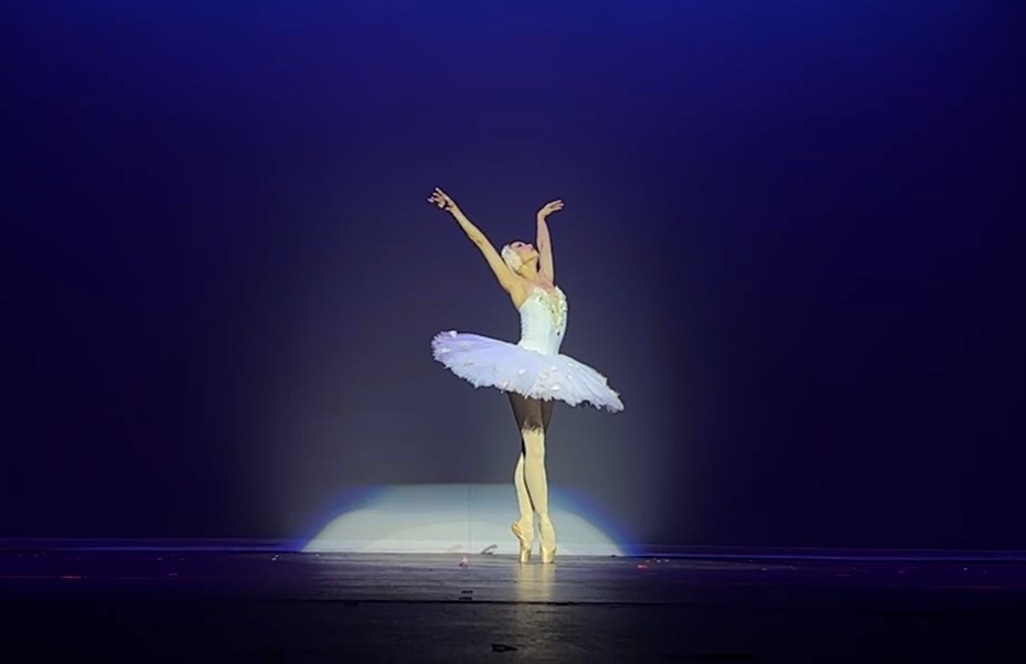 15 芭蕾独舞 天鹅方仲静
