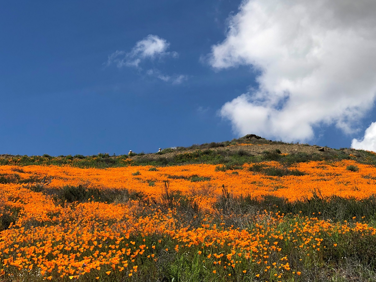 2023 02 08 IMG 0497 2