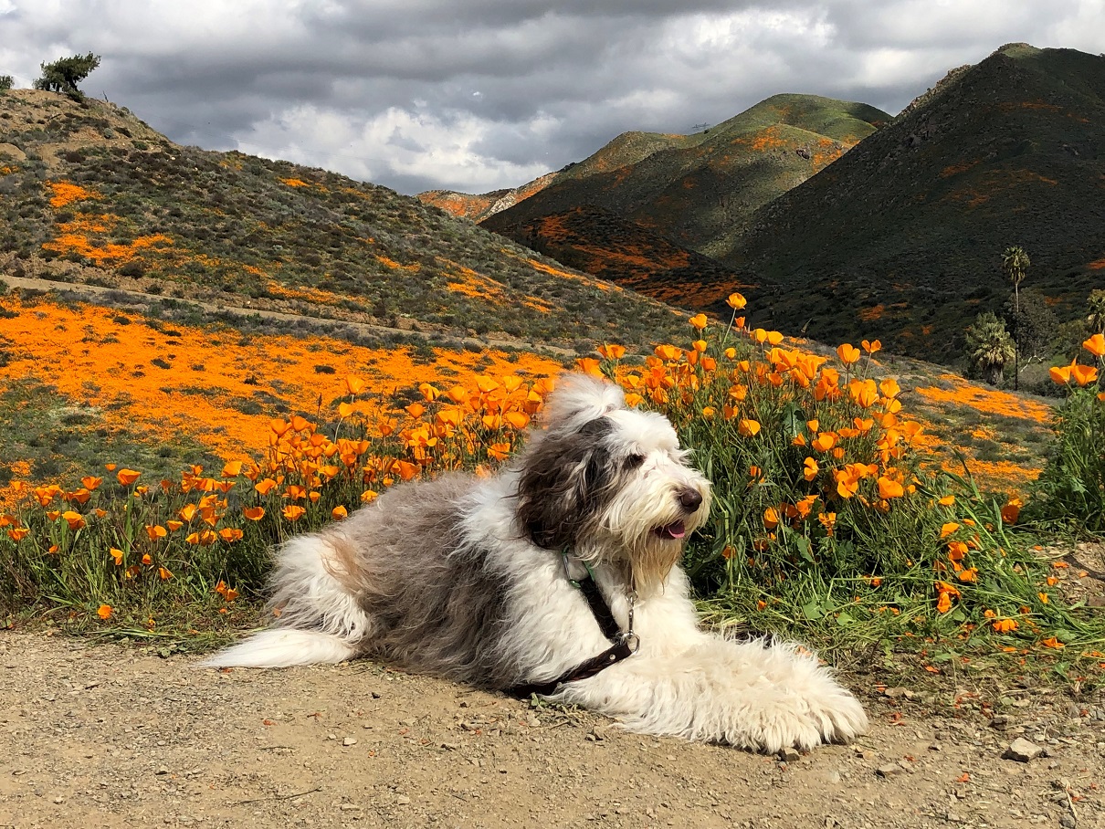 2023 02 08 IMG 0541 2