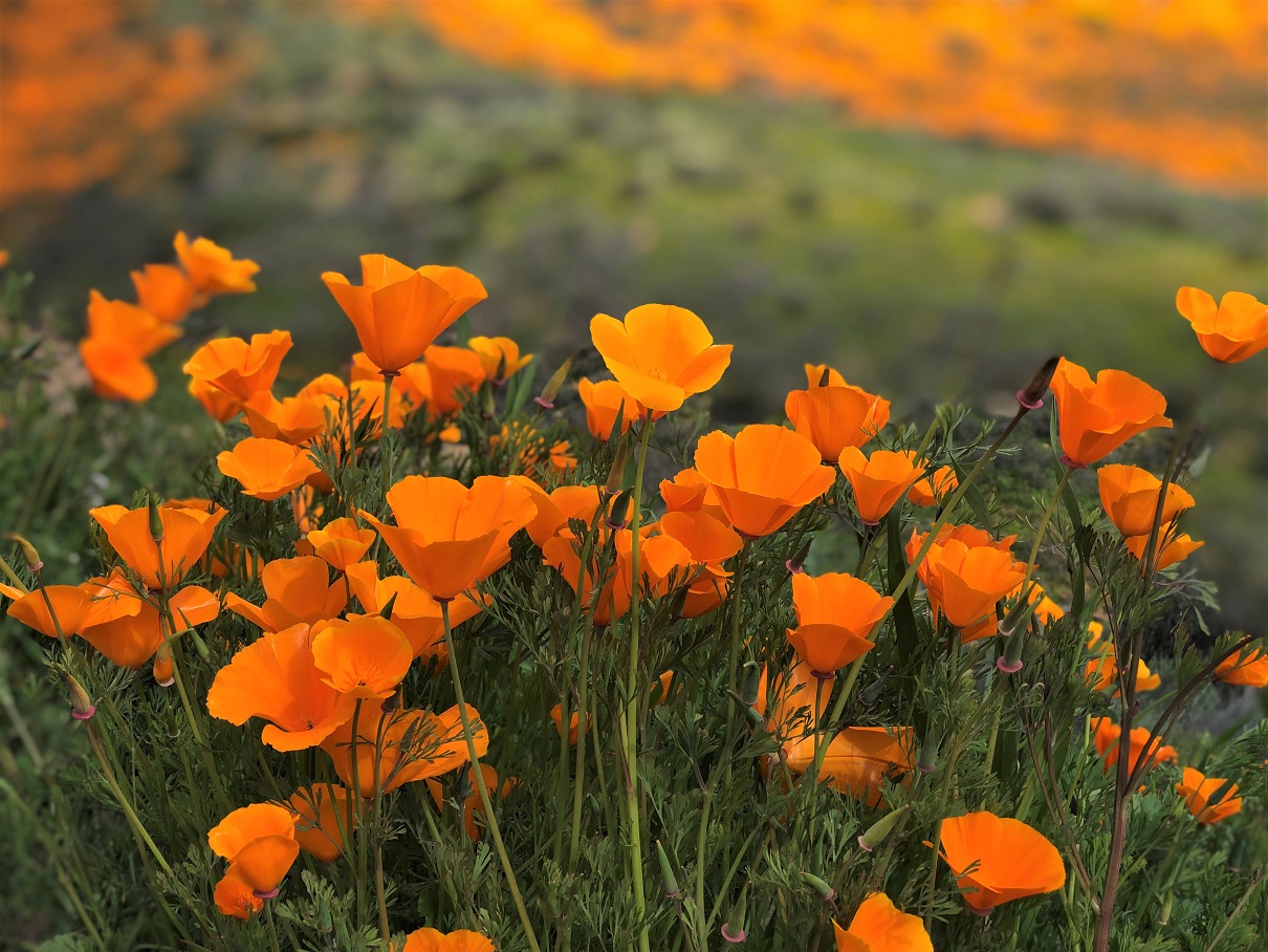 2023 02 08 IMG E0503 3