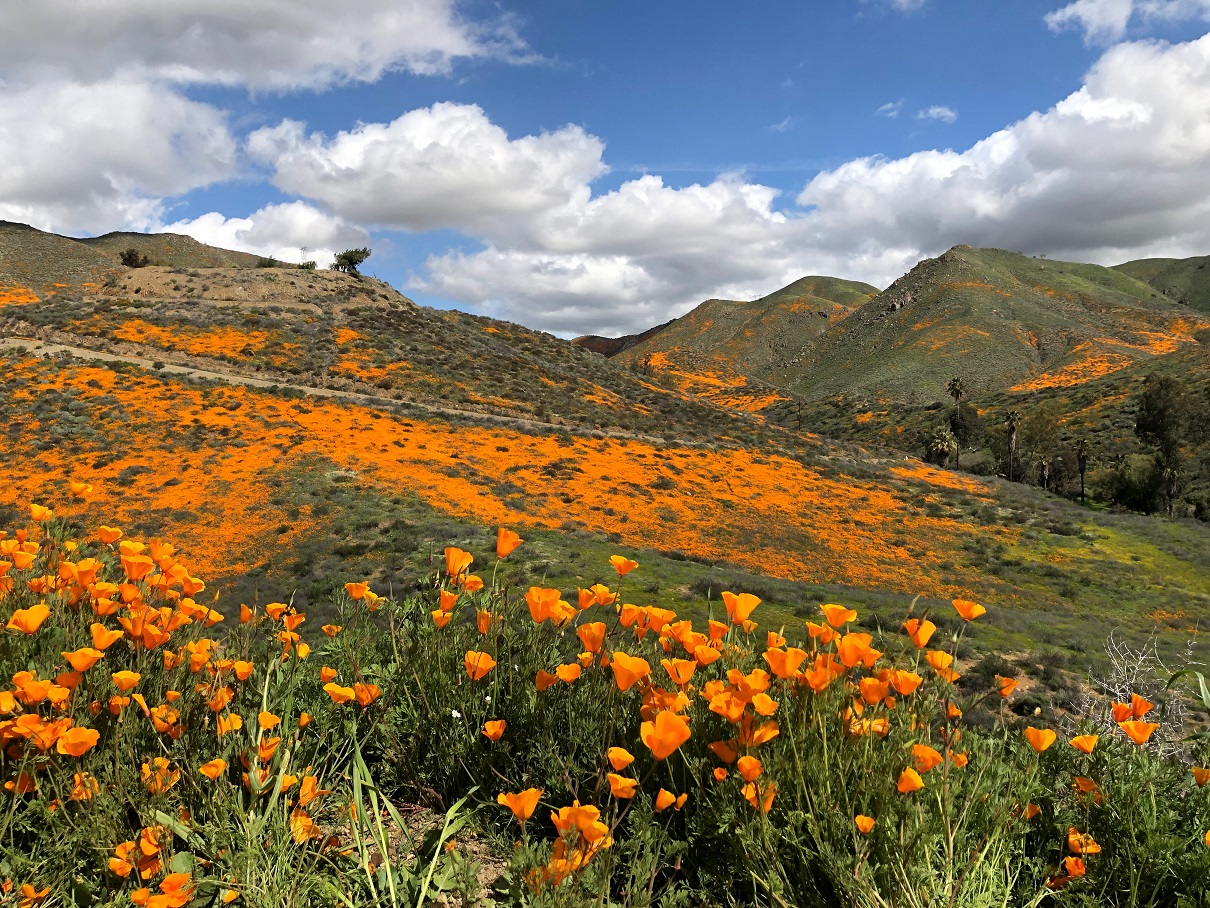 2023 02 08 MG 0484 2