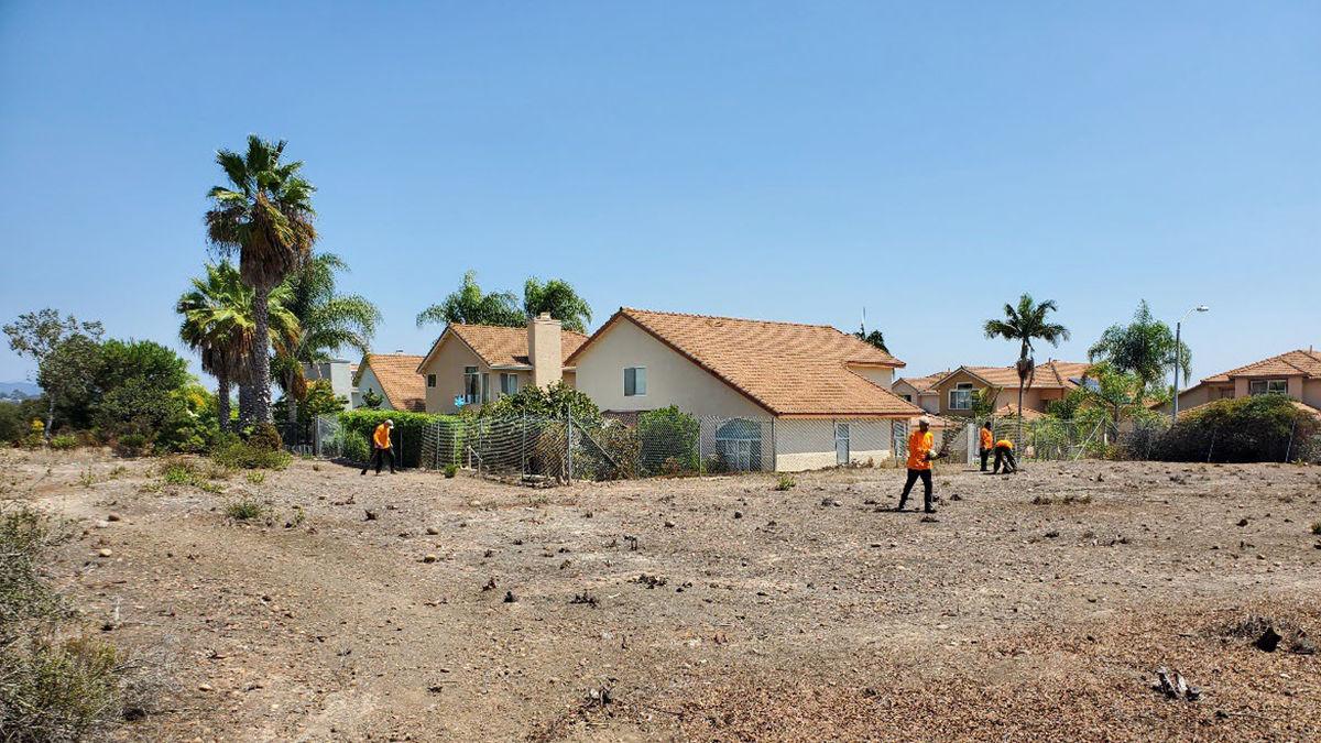 2023 07 14 preserve damage city pic 1