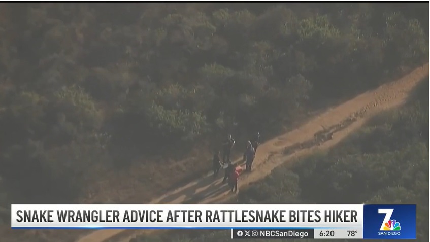2023 10 20 snake bite 3