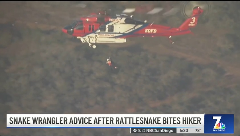2023 10 20 snake bite 4