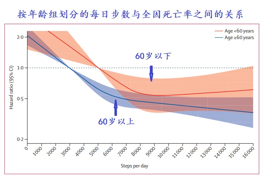 2024 01 14 柳叶刀文章图