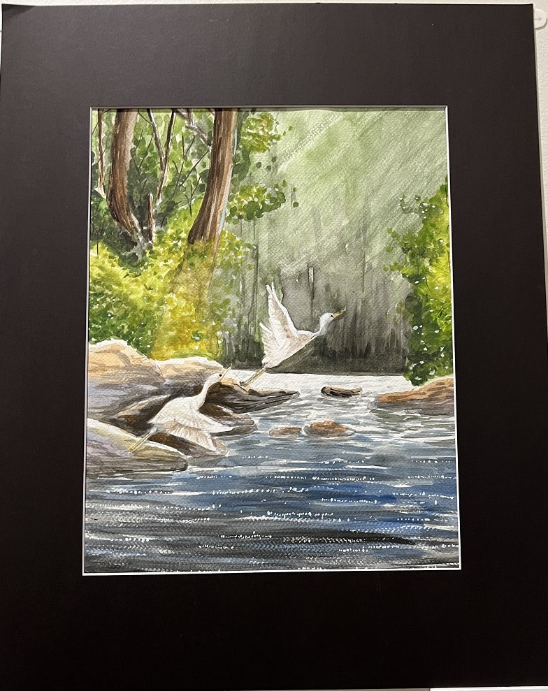 2024 03 17 部分展品 