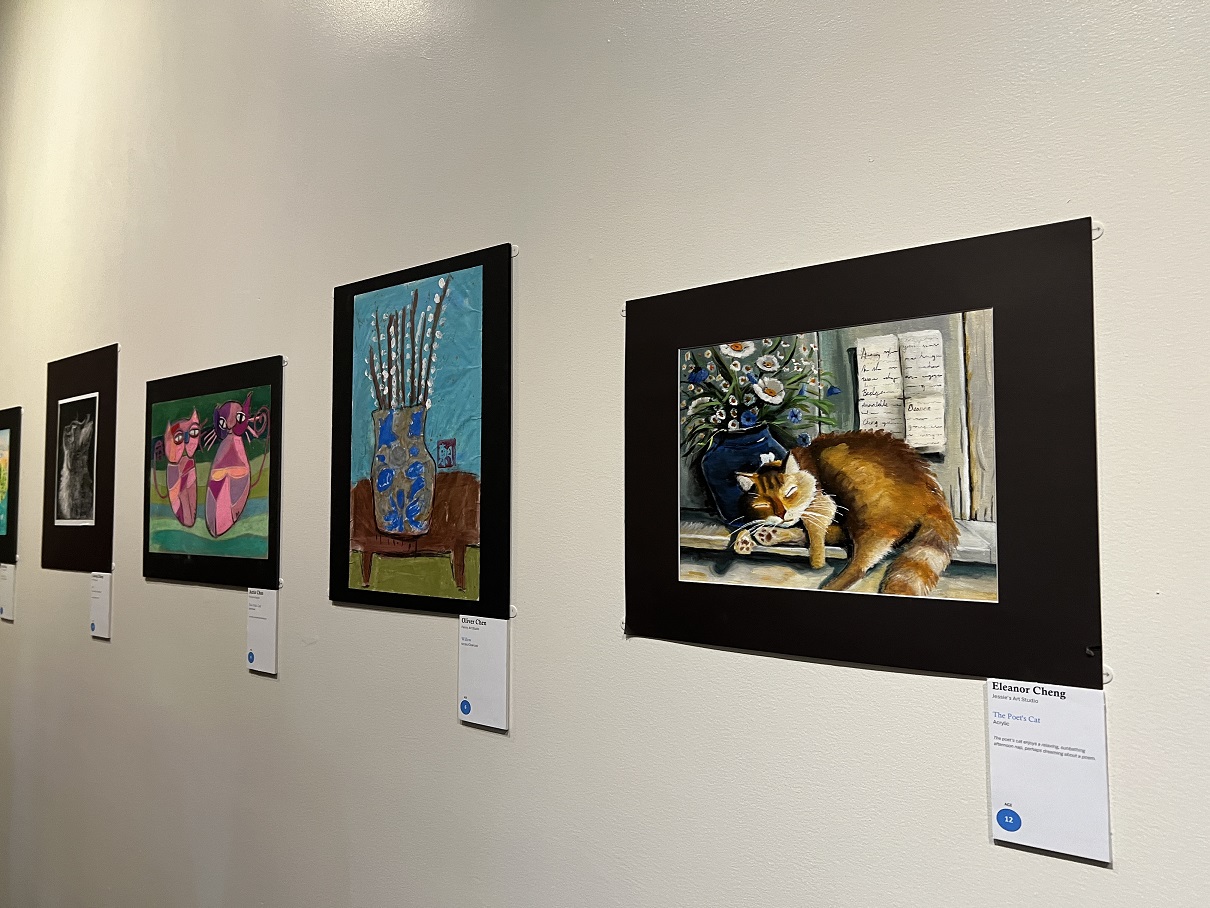 2024 03 17 部分展品 2