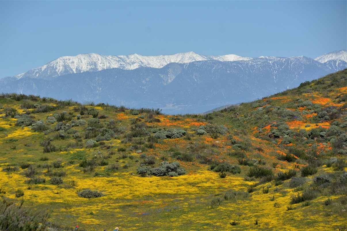 2024 04 02 Diamond Valley Lake 1