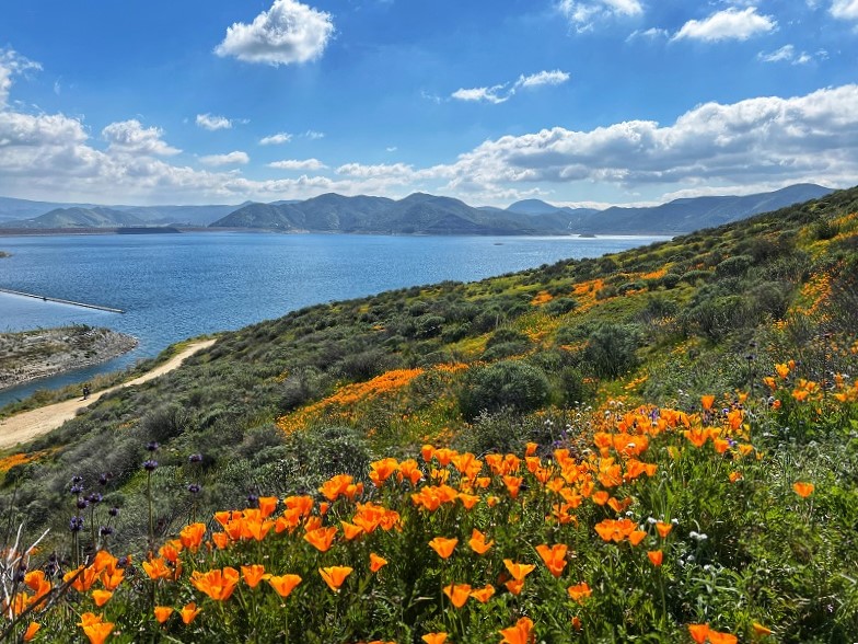 2024 04 02 Diamond Valley Lake 3