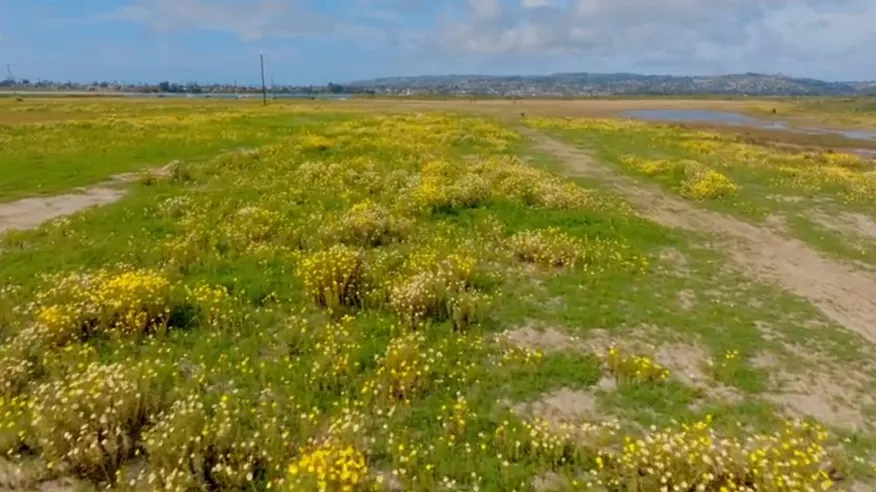 2024 04 02 Fiesta Island