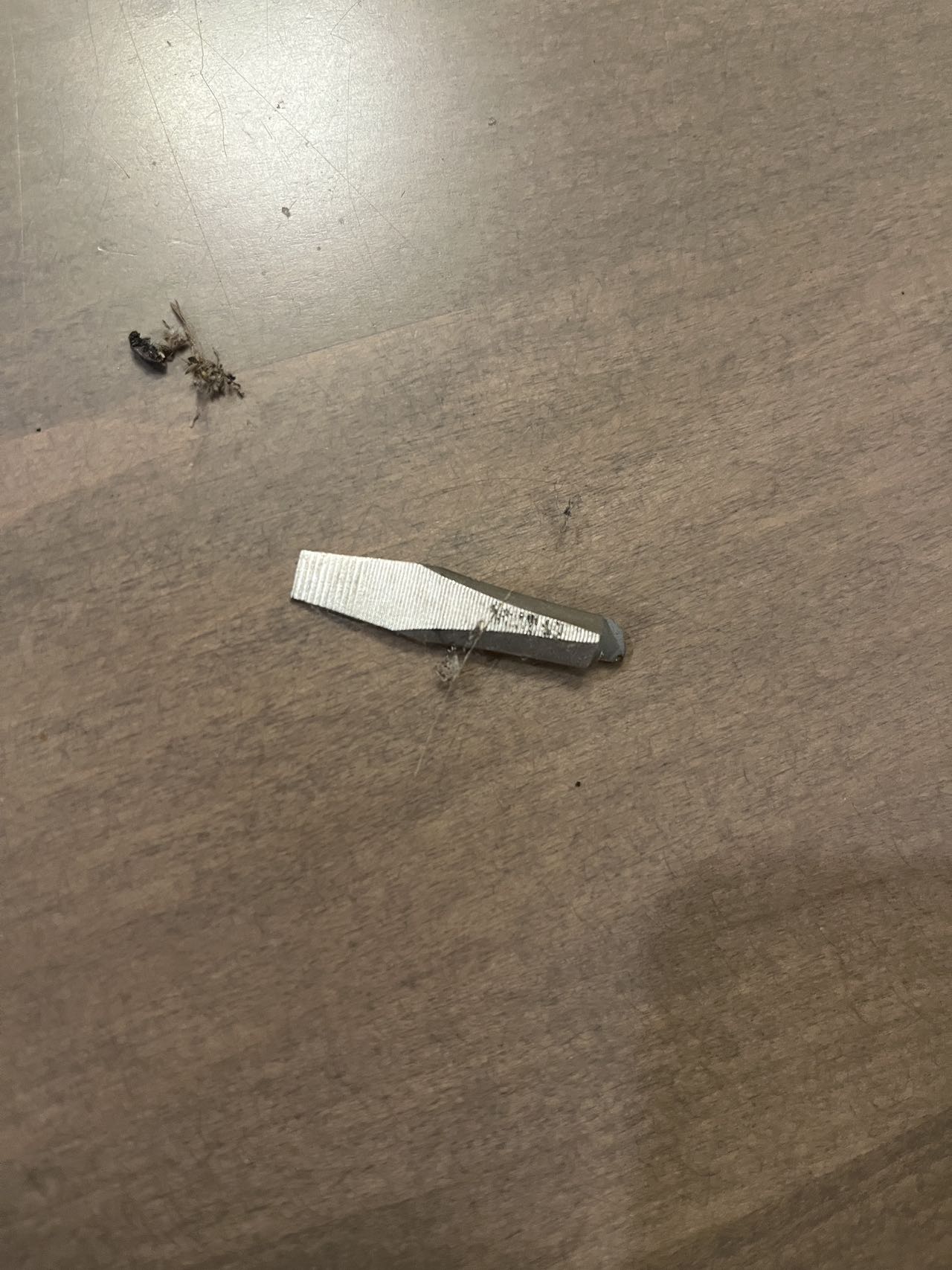 2024 04 26 入室盗窃 1