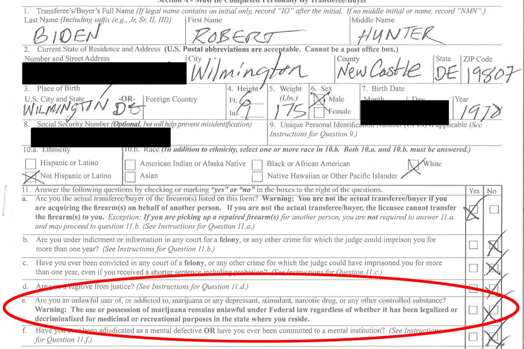 2024 06 11 Hunter Biden Case form 1