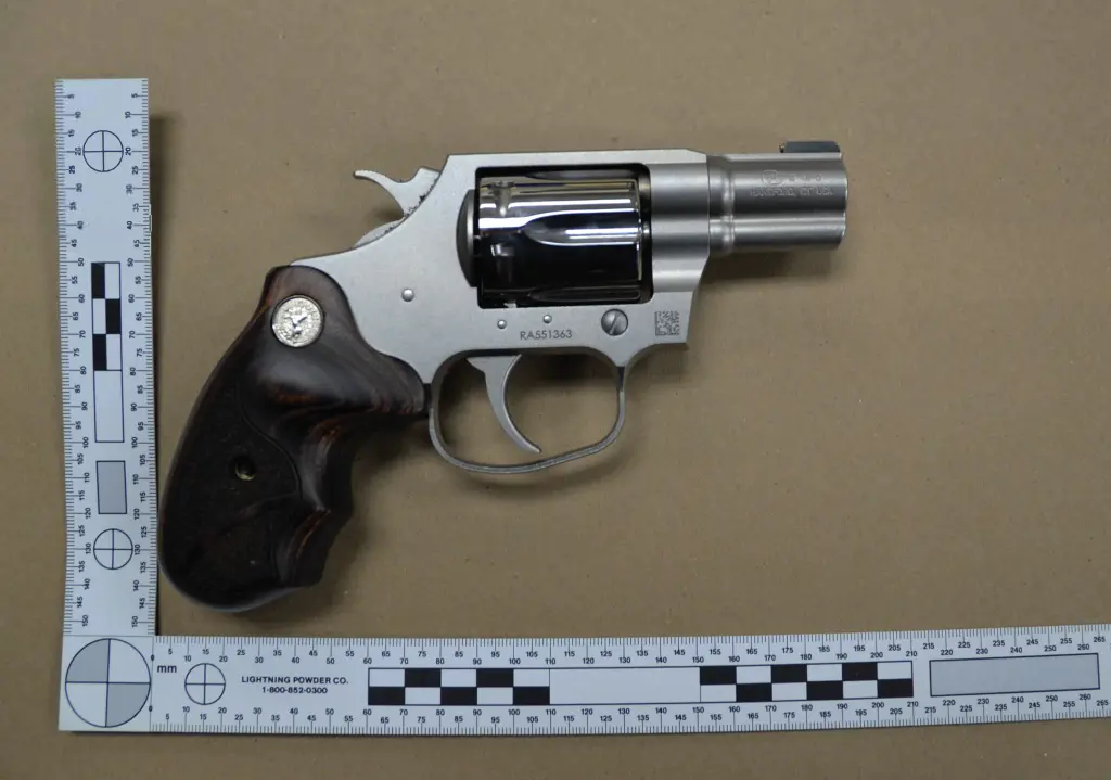 2024 06 11 Hunter Biden Case gun