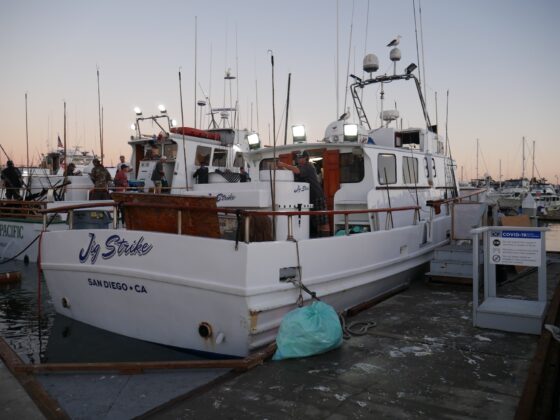 2024 09 02 Jig Strie 2