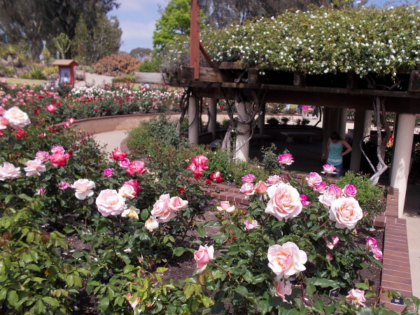 2024 09 03 Balboa Park 3