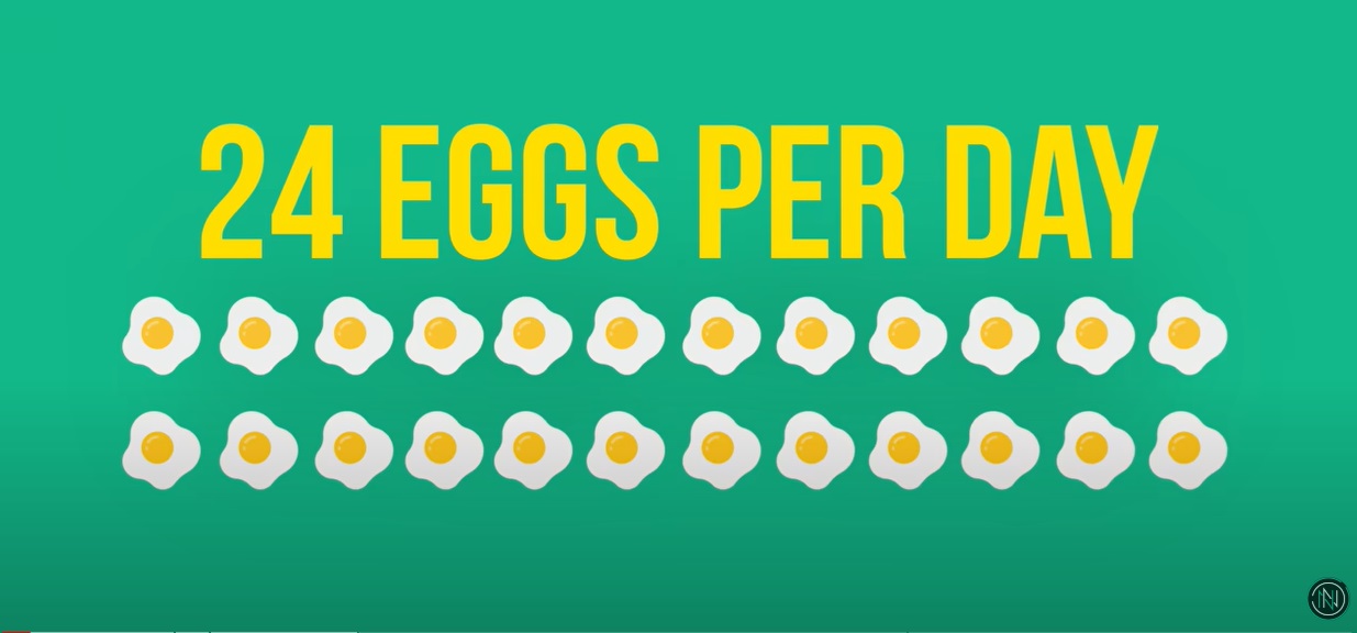 2024 09 24 24 eggs perday