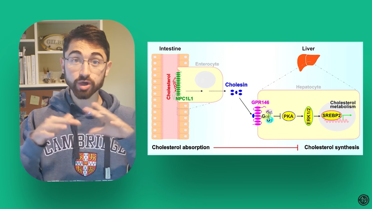 2024 09 24 720 eggs Cholesterol drop 18. 原理