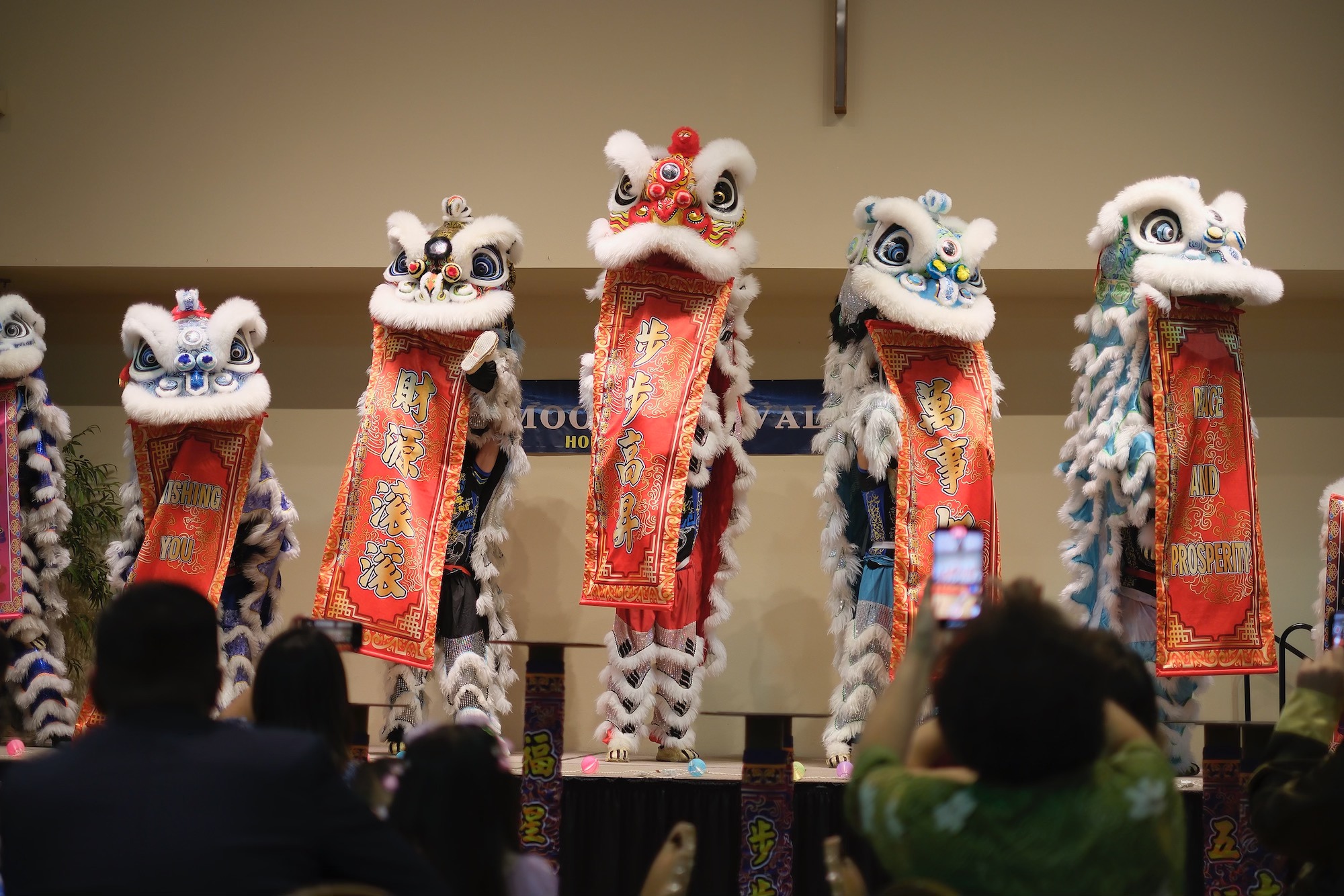 459823440 10227914078131297 5259646875230054430 n