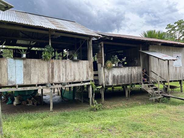 2024 11 07 村1房屋