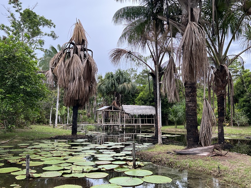 2024 11 07 村2池塘