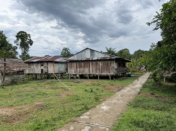 2024 11 07 村中的水泥路