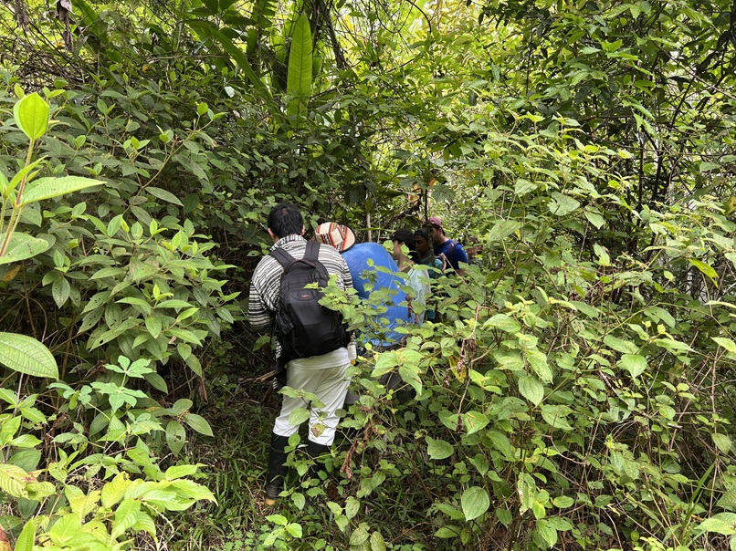 2024 11 07 进入丛林深处