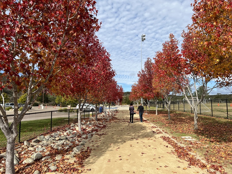 2024 11 16 Ocean Air Park 1