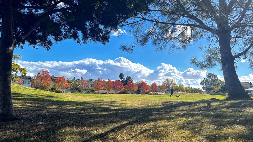 2024 11 16 Ocean Air Park 2