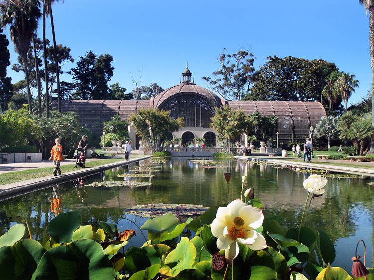 2024 11 18 Balbao Park