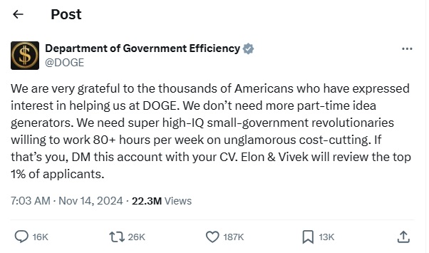 2024 11 20 DOGE recuiment